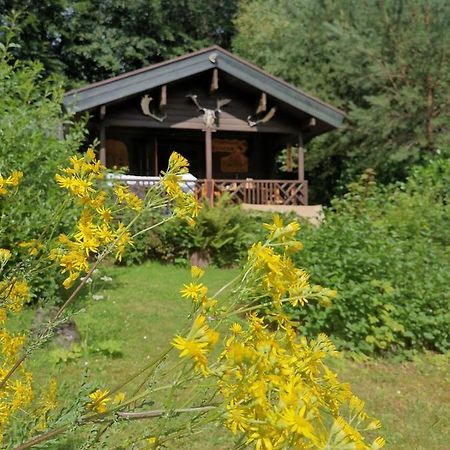Blockhaus Am Twistesee Mit 3 Schlafzimmern Bad Arolsen Buitenkant foto
