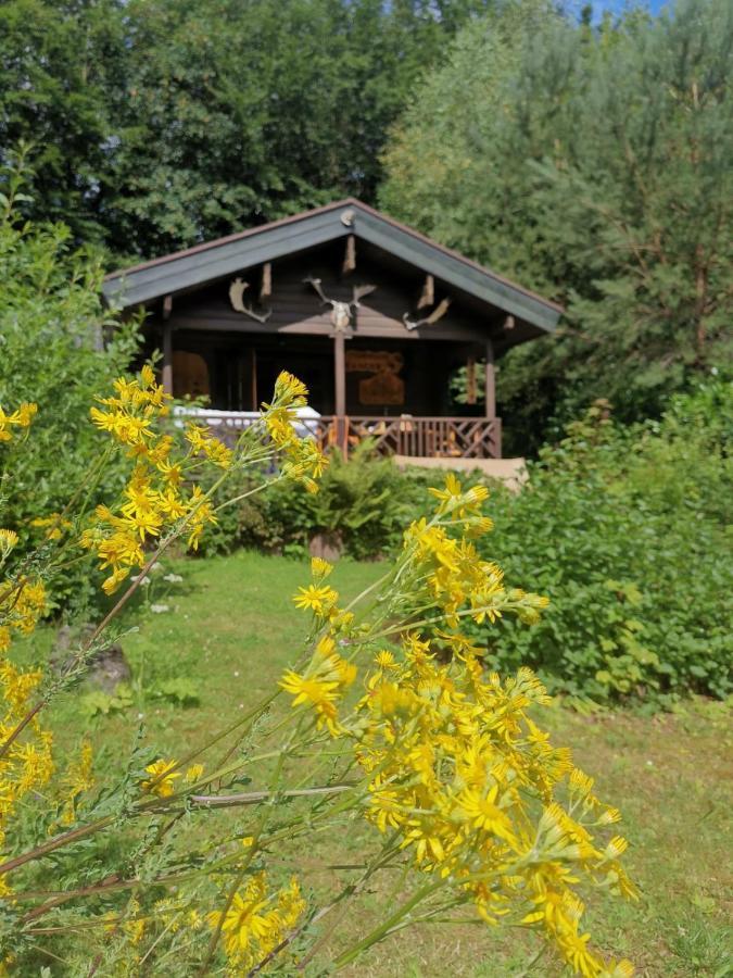 Blockhaus Am Twistesee Mit 3 Schlafzimmern Bad Arolsen Buitenkant foto