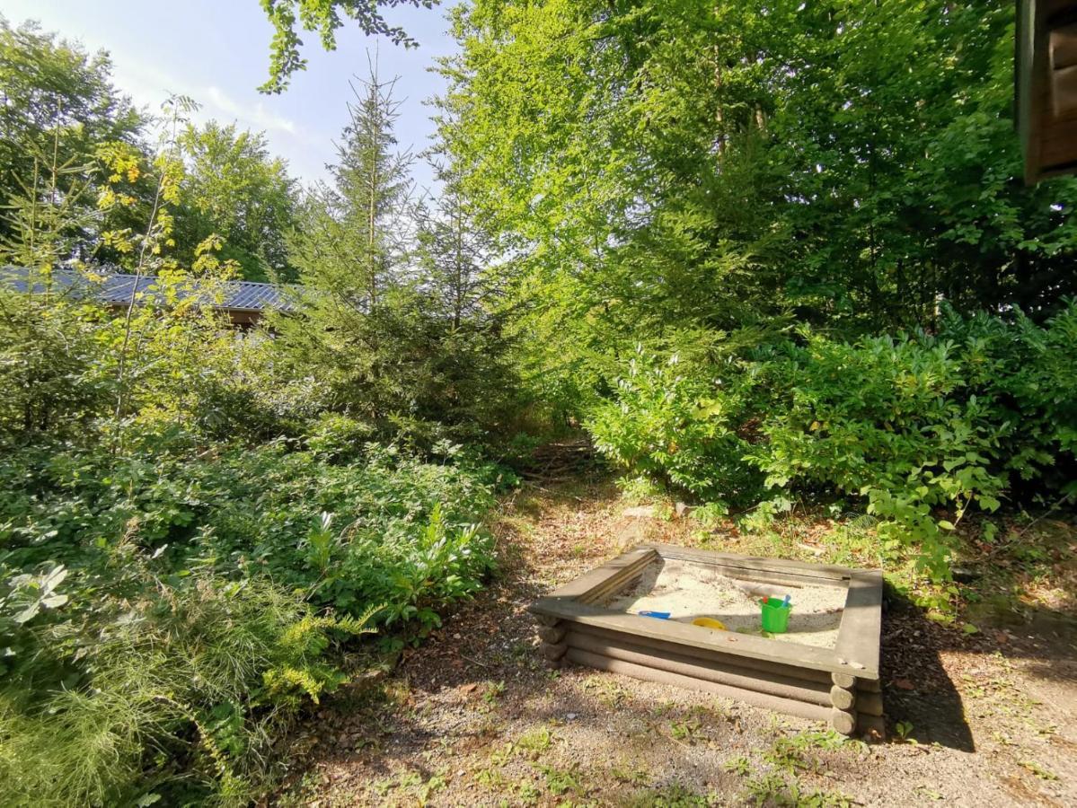 Blockhaus Am Twistesee Mit 3 Schlafzimmern Bad Arolsen Buitenkant foto